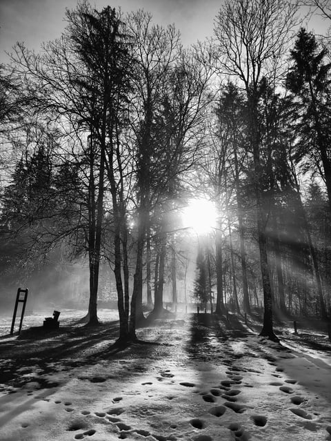 COUP DE FROID