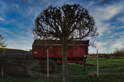 UN AIR DE CAMPAGNE