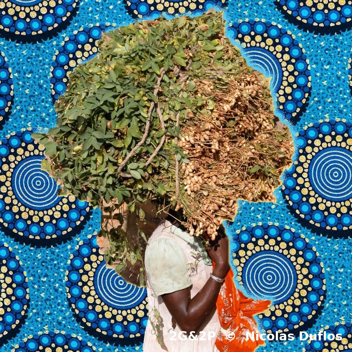PATCHWORK OF AFRICA — 🇸🇳 SENEGAL 🇬🇳 MALI, photographie 1