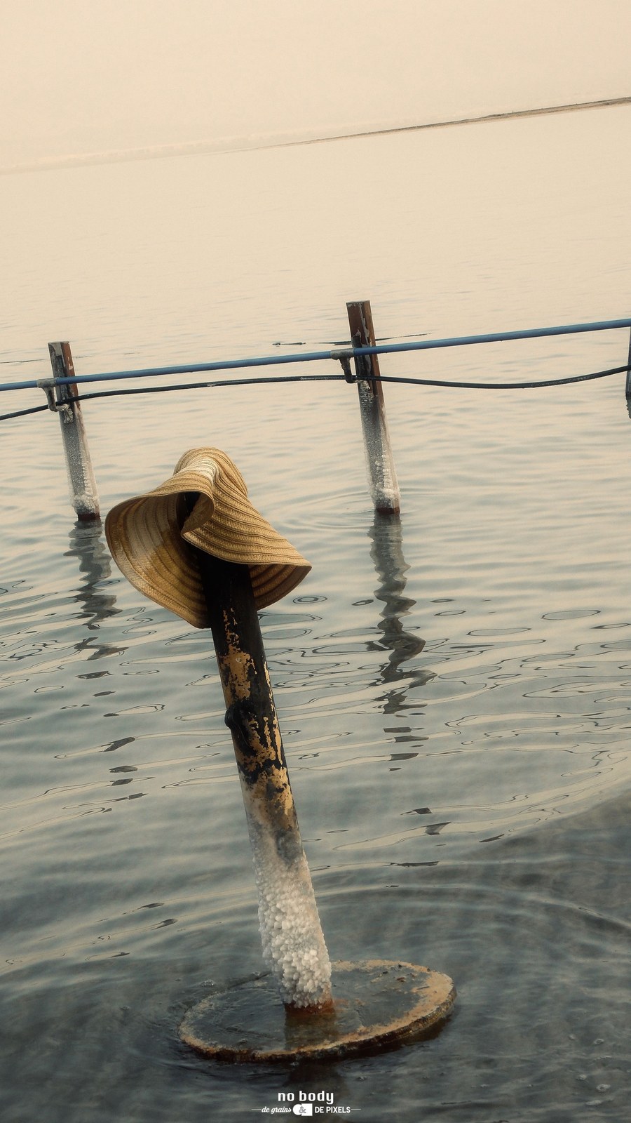 NO BODY, ISRAEL — photographie 1