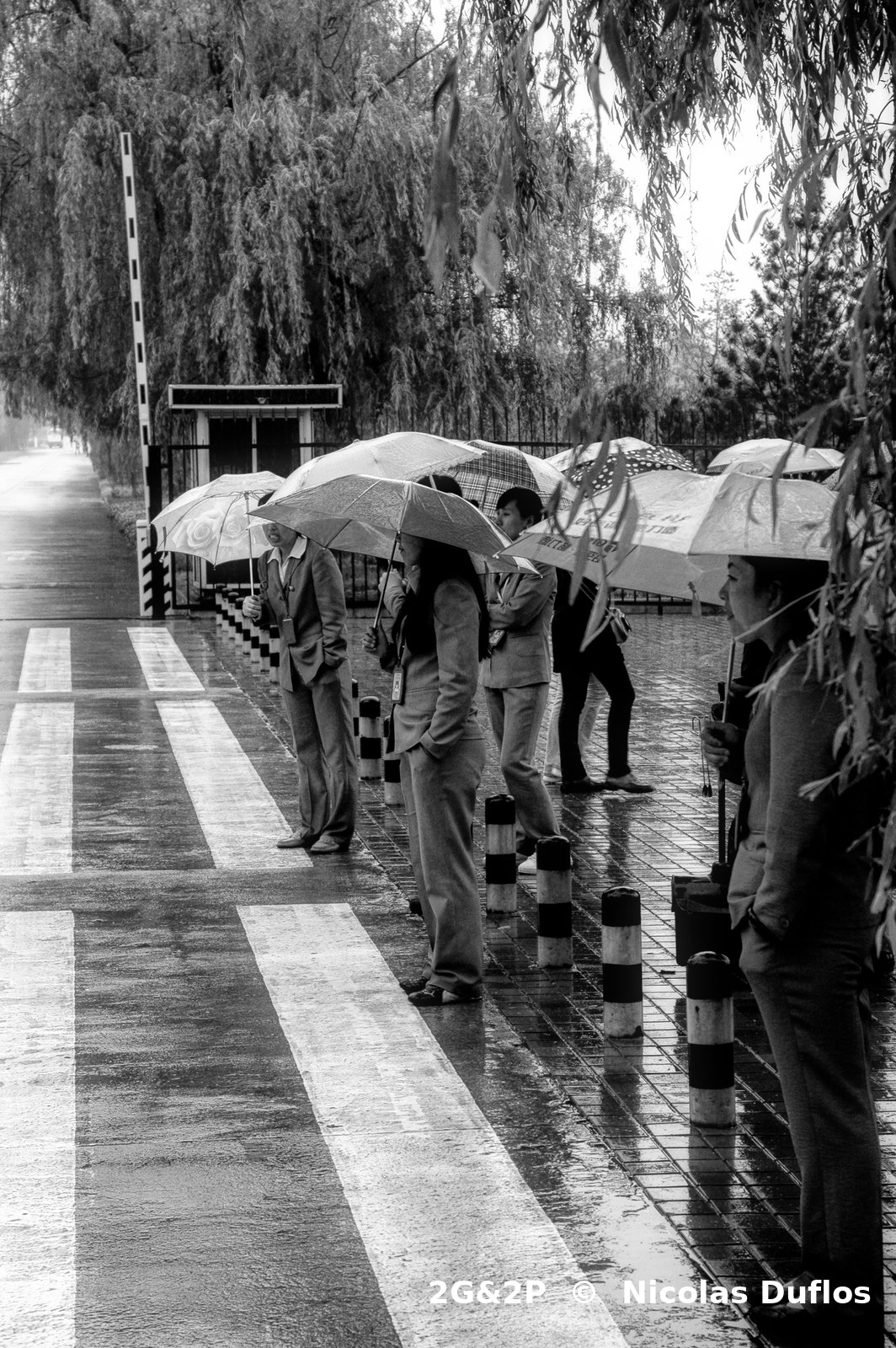 CHINA ON THE ROCKS — Shangai - Suzhou - Guilin - Xian - Pékin 🇨🇳 CHINE, photographie 1