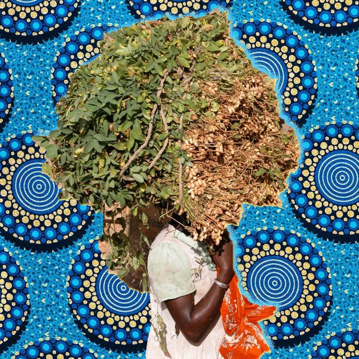 PATCHWORK OF AFRICA — 🇸🇳 SENEGAL 🇲🇱 MALI
